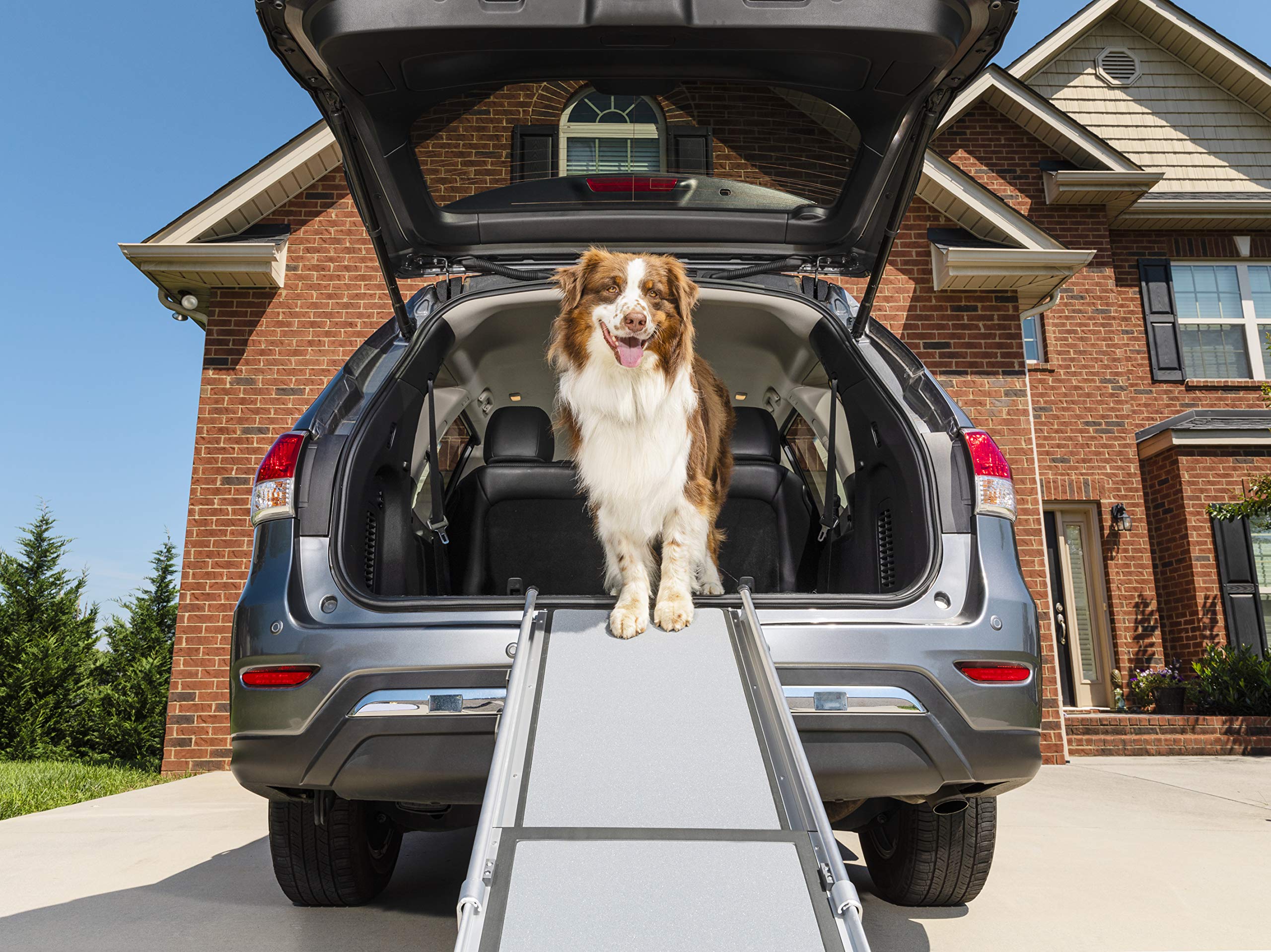 PetSafe Happy Ride Dog Ramp