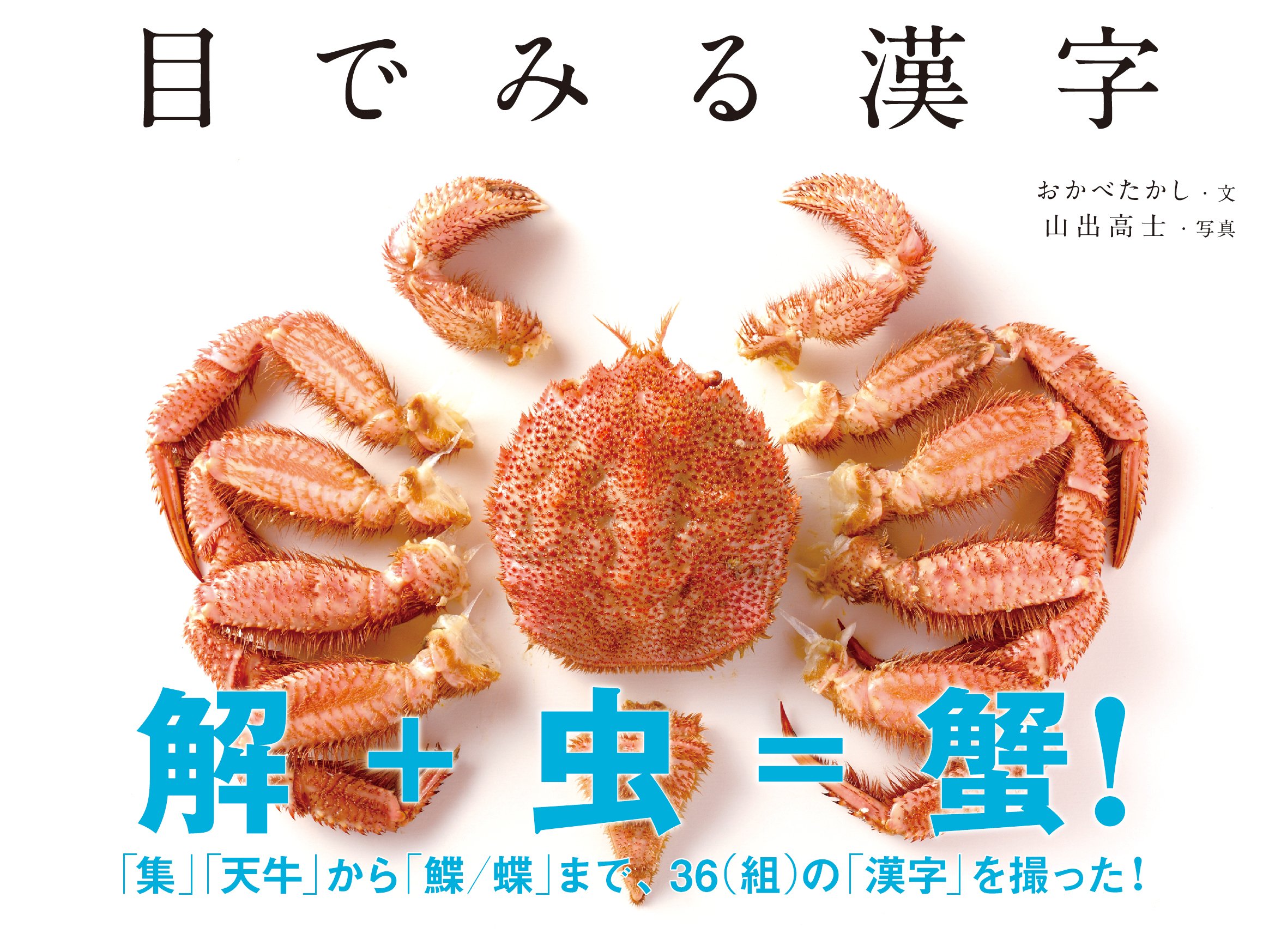 目でみる漢字 おかべ たかし 本 通販 Amazon