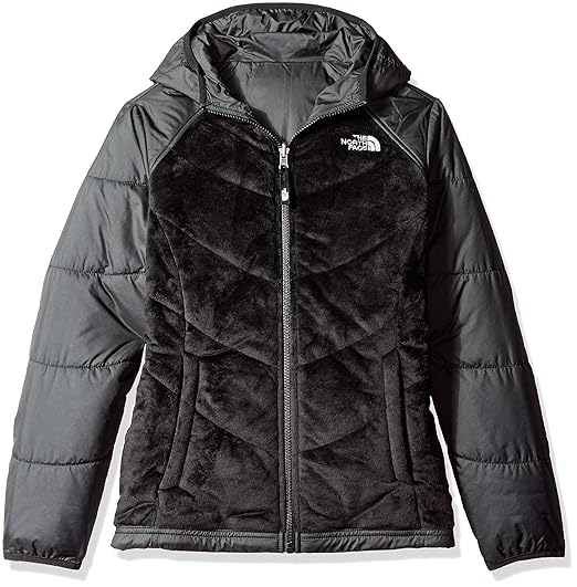 north face perseus