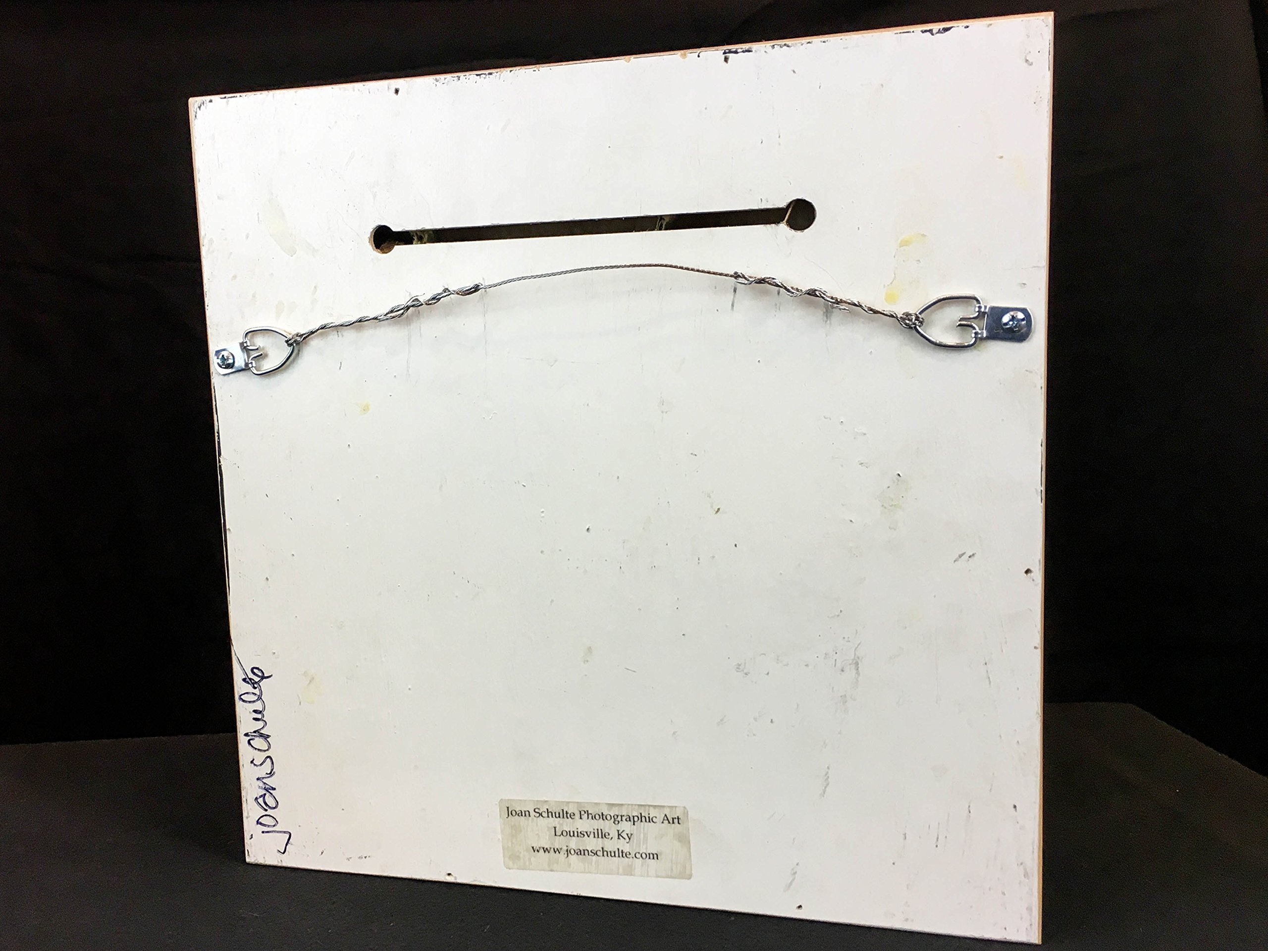 Wood Wall Art Photography - Vintage Cars and Vehicles: Blue Rusty Chevy Truck - Image 7