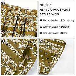 DIOTSR Mens Paisley Casual Shorts Retro Graphic