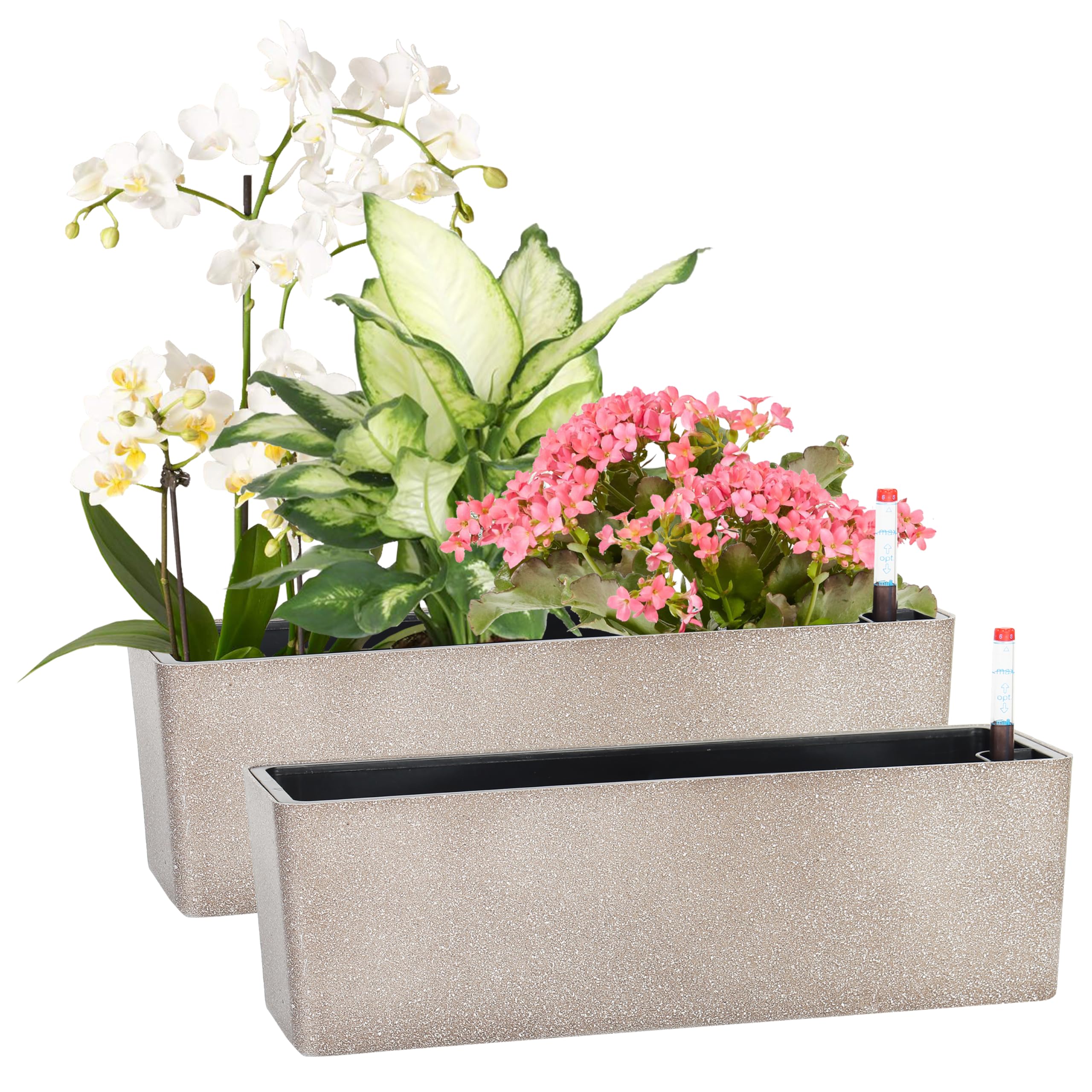 Photo 1 of GardenBasix Elongated Self Watering Planter Pots 2-Pack Window Box 5.5 x 16 inch Indoor Home Garden Modern Decorative Pot for All House Plants Flowers Herbs (Coffee,2)