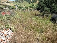 Review Image by Dwgnldy Dwgnldy