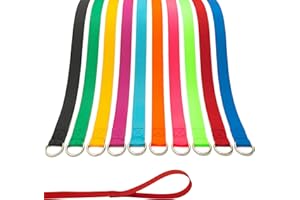 ATICNECH Slip Lead Dog Leash - 10 pcs Colorful 6 FT Short Dog Leashes with O-Ring for Small Large Dogs Puppy Cats Walking Training Running Rescues Grooming Shelter,etc.
