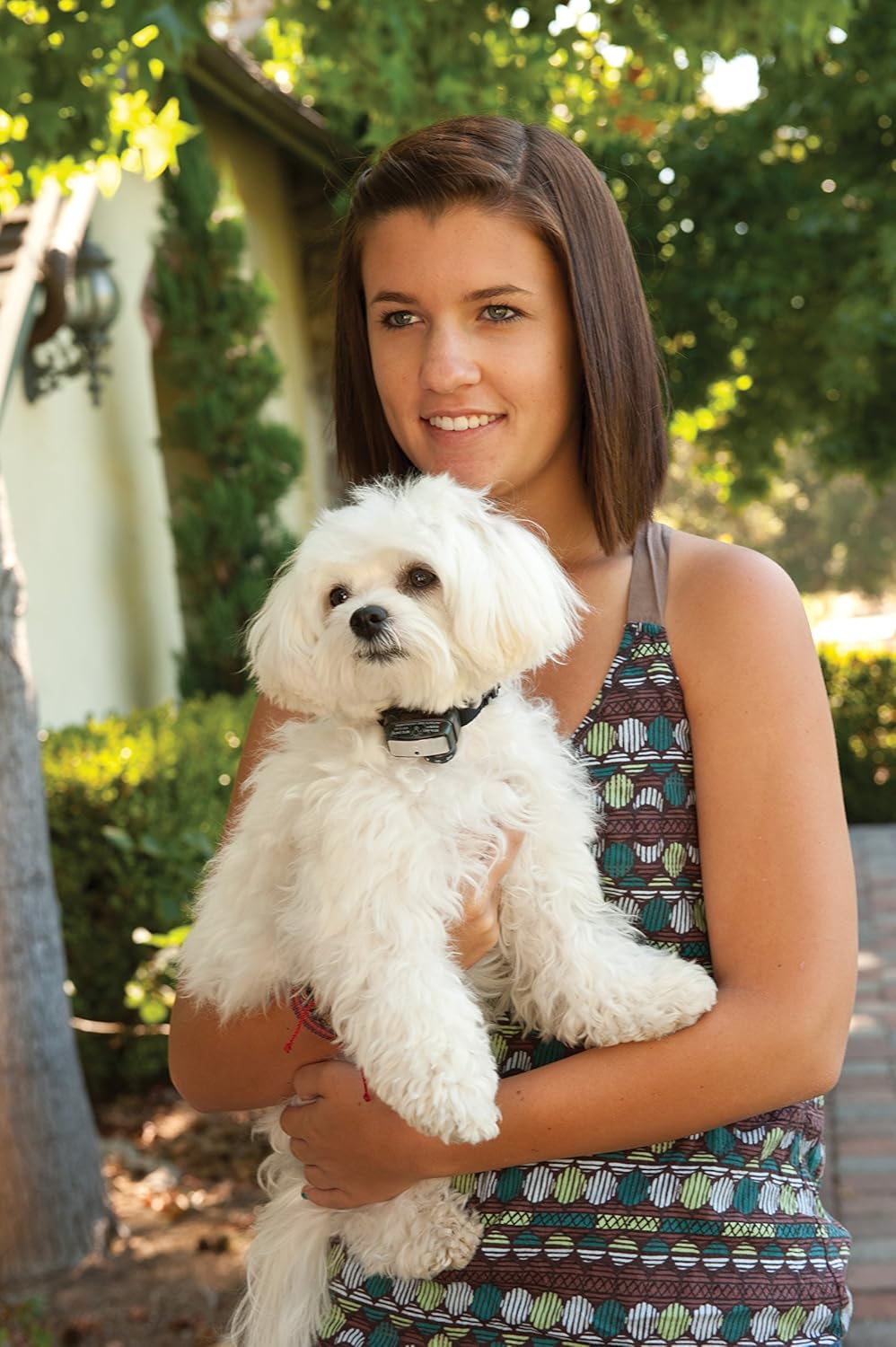 PetSafe Elite Bark Collar Review