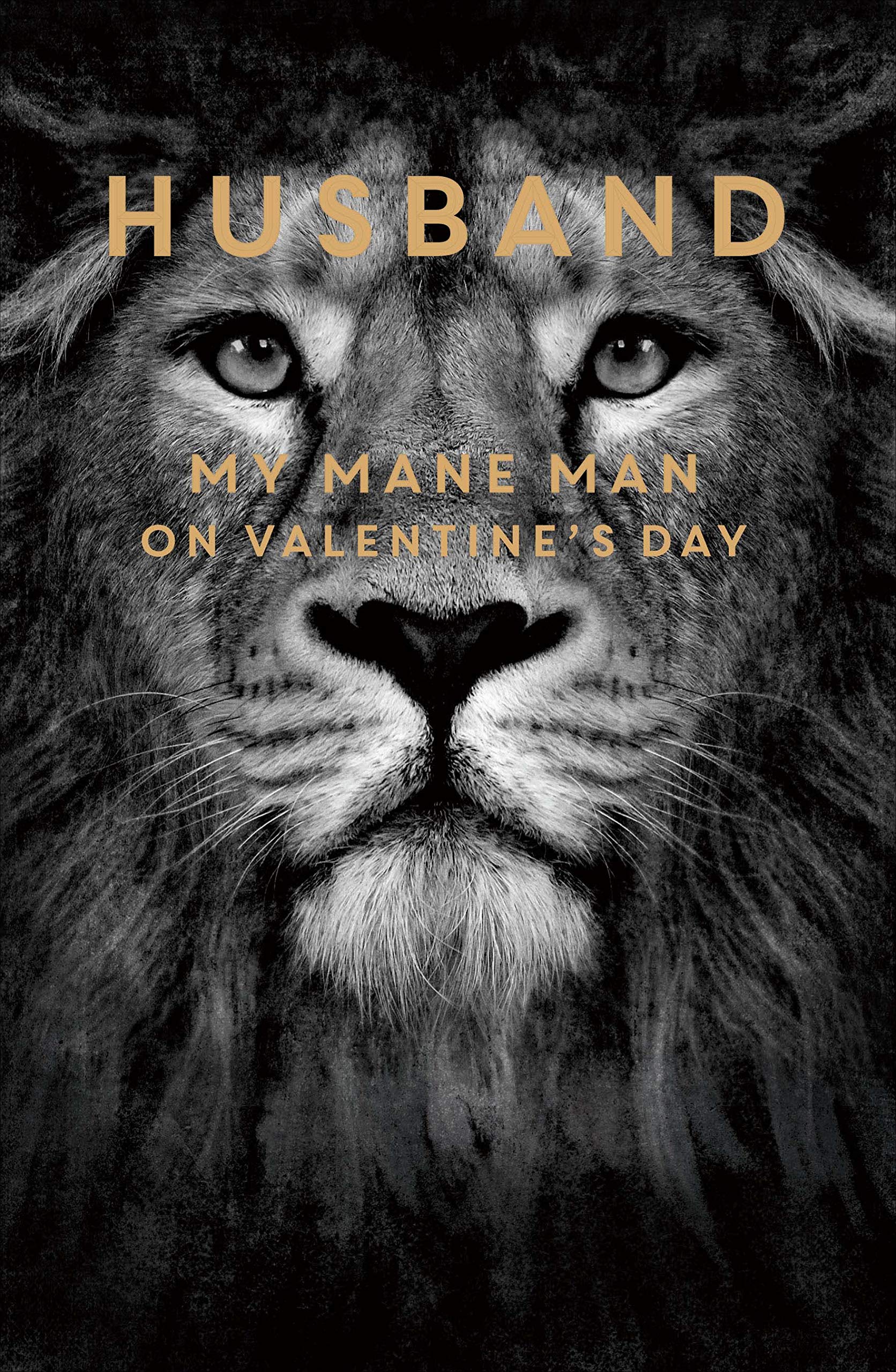 Husband Valentine's Day Card, Lion Valentine's Day Card for Husband, Valentine's Day Card for Him, My Mane Man