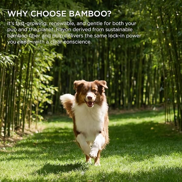 BEDSURE PEE PADS FOR DOGS, 22″ X 22″ PUPPY PADS 50 COUNT, SUPER ABSORBENT & LEAK PROOF, SMALL DOG TRAINING PADS QUICK DRY DISPOSABLE PETS POTTY PADS ODOR-CONTROL ACTIVATED CARBON & ECO GREEN MATERIAL