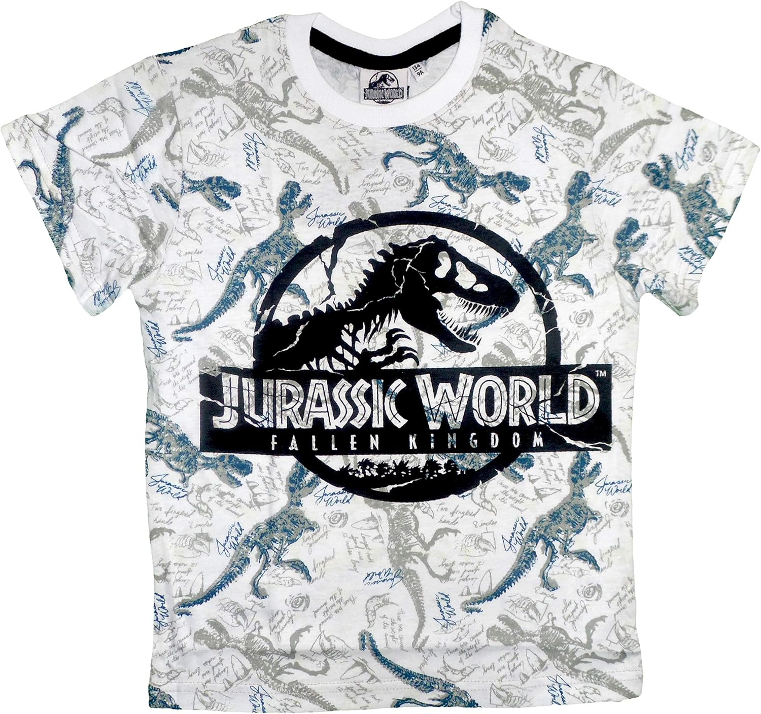 Kleidung Accessoires T Shirt Jurassic Park Enfant Adolescent De 4 Ans A 14 Ans Unisex Mode
