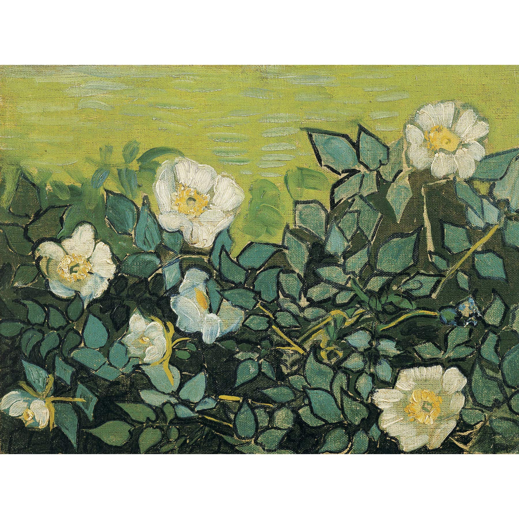 Vincent Van Gogh Wilde Rosen, Kunstdruck auf Leinwand, Premium-Poster, Wandbild