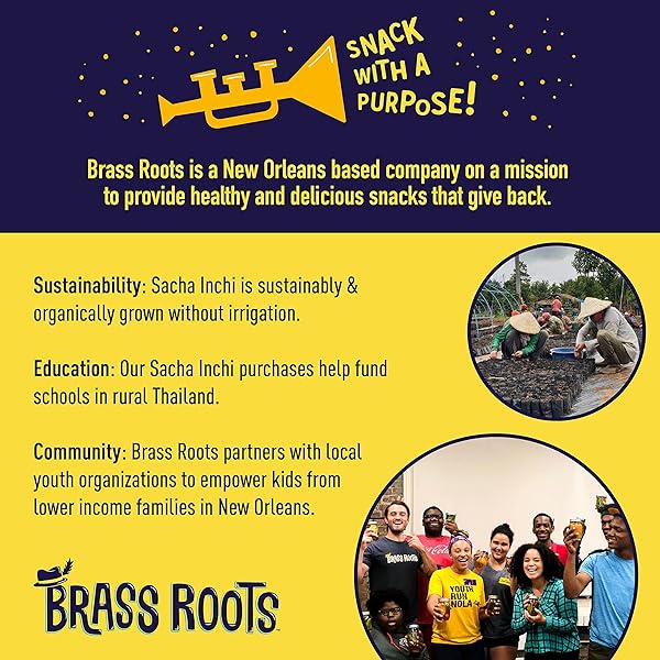 BRASS ROOTS ORGANIC ROASTED SACHA INCHI SEEDS, LIGHTLY SALTED | KETO, PALEO, ALLERGEN FREE, LOW FODMAP (12 OZ, PACK OF 1), SEEN ON SHARK TANK