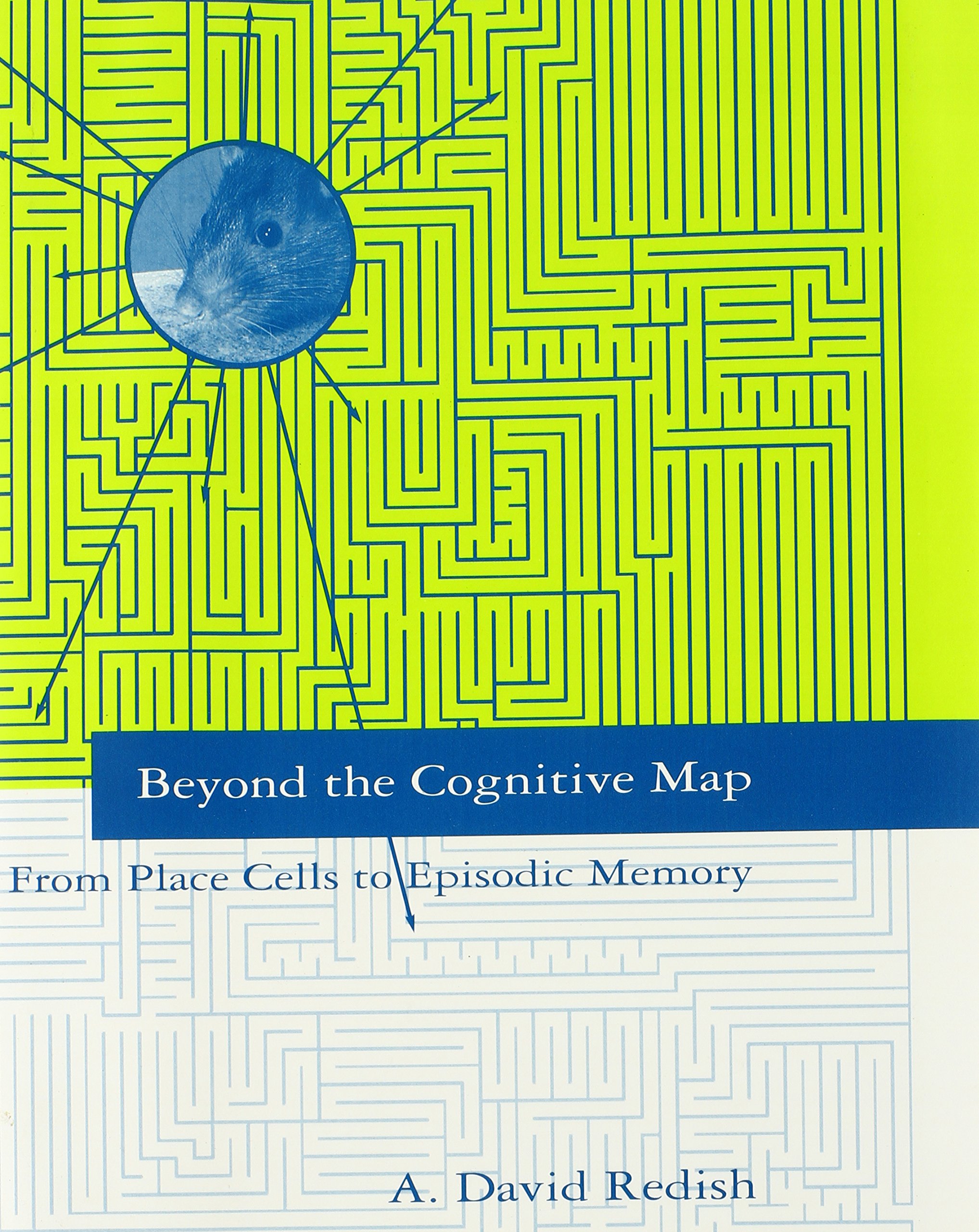 The Hippocampus As A Cognitive Map Beyond The Cognitive Map: From Place Cells To Episodic Memory: Redish, A.  David: 9780262181945: Books: Amazon.com
