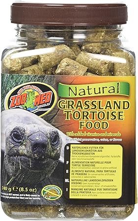 tortoise natural food