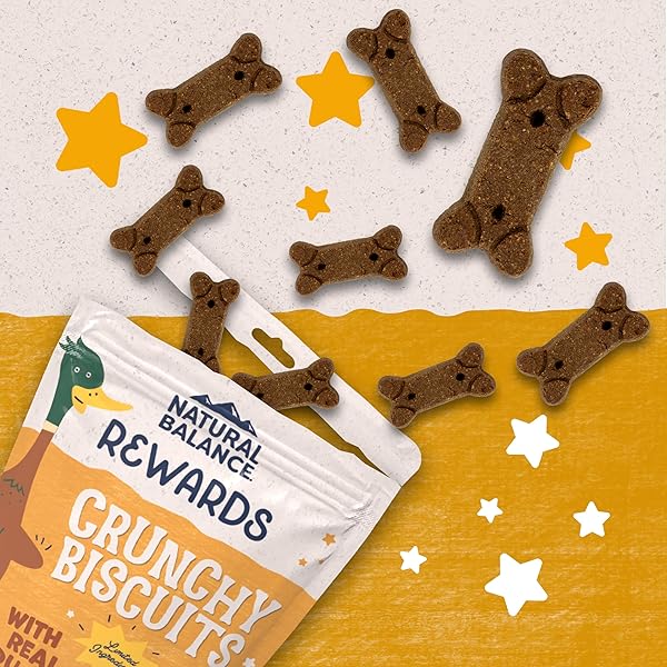 NATURAL BALANCE LIMITED INGREDIENT REWARDS CRUNCHY BISCUITS, GRAIN-FREE DOG TREATS FOR ADULT DOGS OF ALL BREEDS, DUCK RECIPE, 14 OUNCE (PACK OF 1)