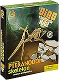 恐竜発掘セット プテラノドン