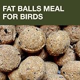SWISSINNO Bird Feeders Hanging Station Lucerne No Mess 7 Fat Balls view 5