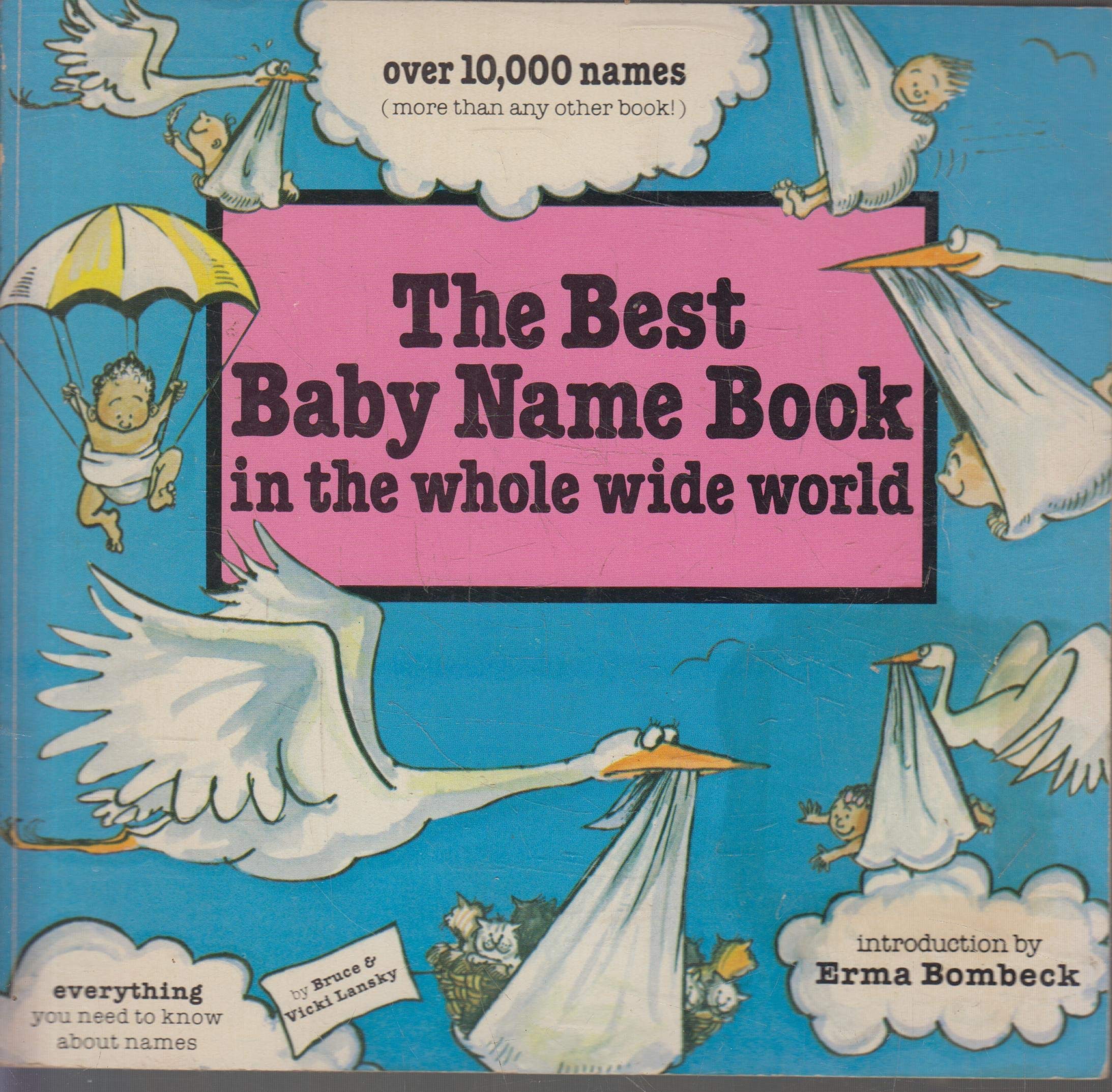 the best baby name book in the whole wide world