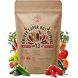Organo Republic 13 Rare Hot Chili Pepper Seeds Variety Pack for Indoor & Outdoors. 650+ Non-GMO Pepper Garden Seeds Kit: Jala
