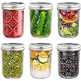 QWEZXO Mason Jars 16oz with Lids-6 Pack Wide Mouth Glass Mason Jar Vintage Glass Canning Jars with Metal Lids for Canning, Pickling, Food Storage