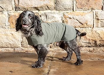 cocker spaniel dog jumper