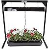 Apollo Horticulture Purple Reign 2' Foot 2 Bulb 24W 6400K T5 Grow Light System for Plant Growing