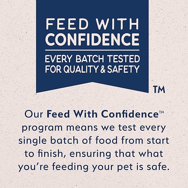 NATURAL BALANCE LIMITED INGREDIENT ADULT GRAIN-FREE DRY CAT FOOD, CHICKEN & GREEN PEA RECIPE, 10 POUND (PACK OF 1)