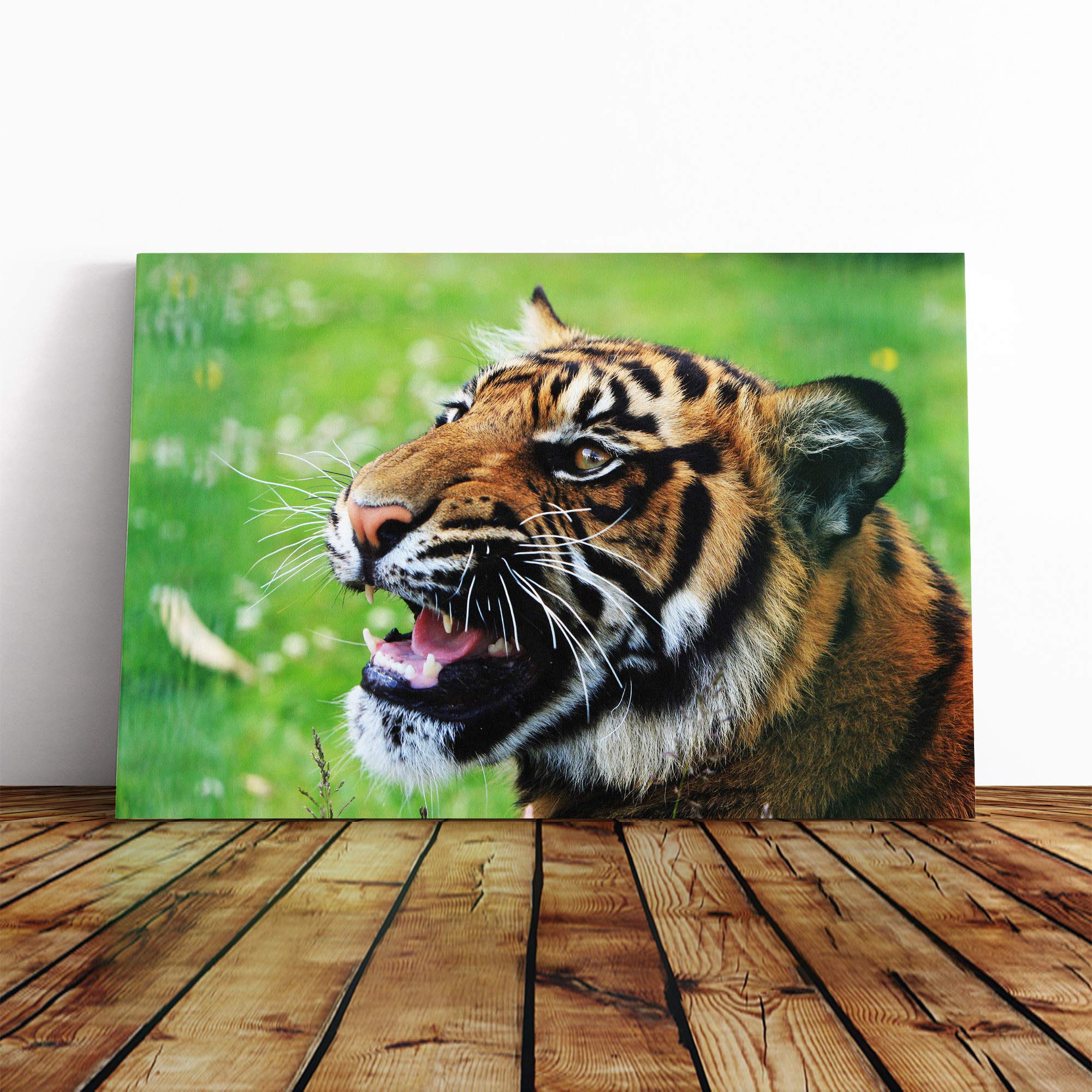 Tiger Snarling Canvas Print | Gallery Wrapped 30mm Frame Wall Art | 20x14 inches | Ready to Hang | Modern Animals Picture | Living Room Bedroom Lounge Office