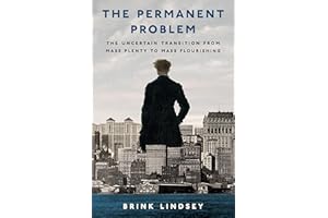 The Permanent Problem: The Uncertain Transition from Mass Plenty to Mass Flourishing