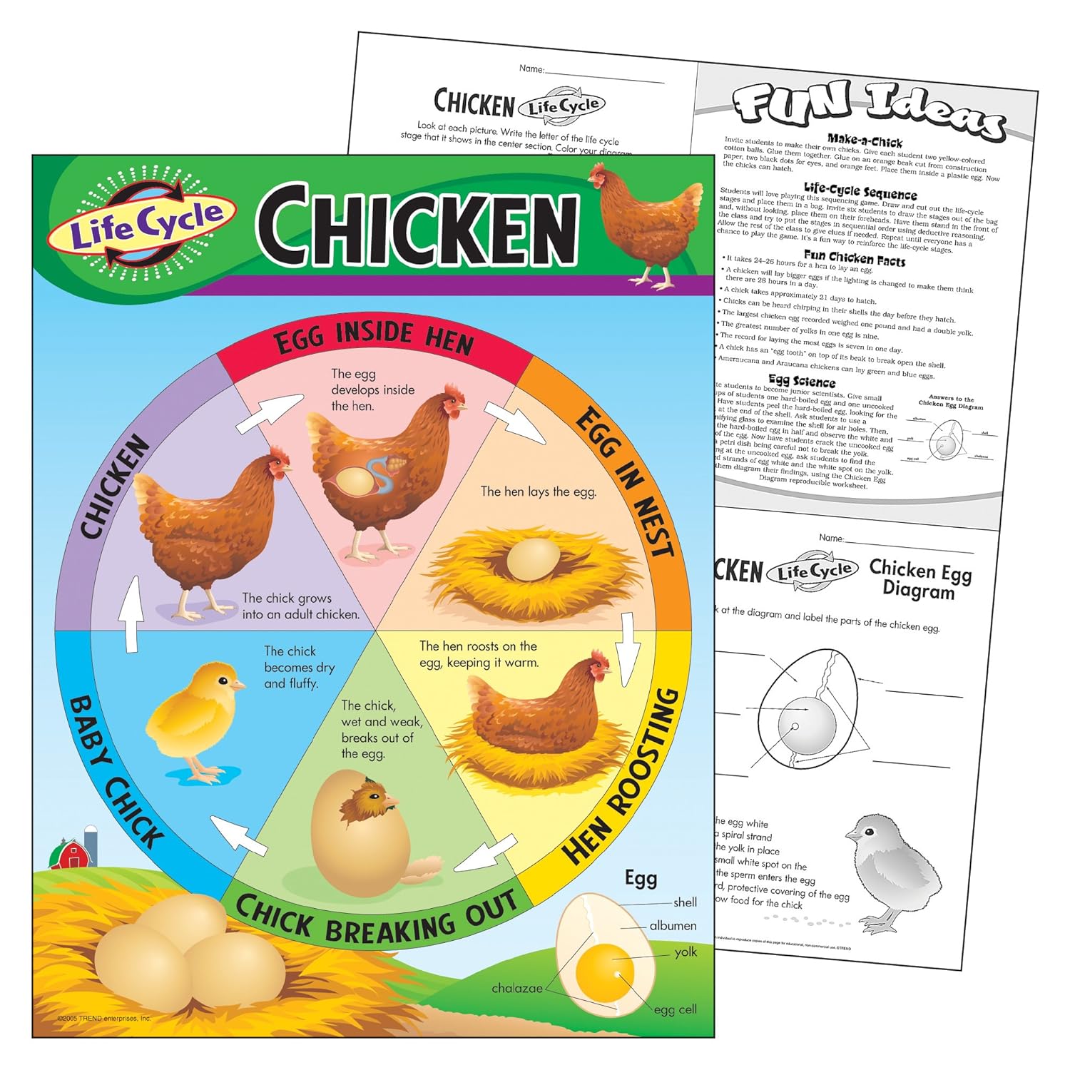 Diagram Of Water Life Cycle Gallery - How To Guide And 