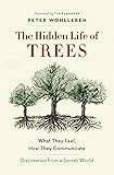 The Hidden Life of Trees: The International Bestseller - What They Feel, How They Communicate