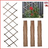 DIVCHI Wooden Trellis Expandable Garden Wall Trellis Pack of 3 180x60 Natural view 7