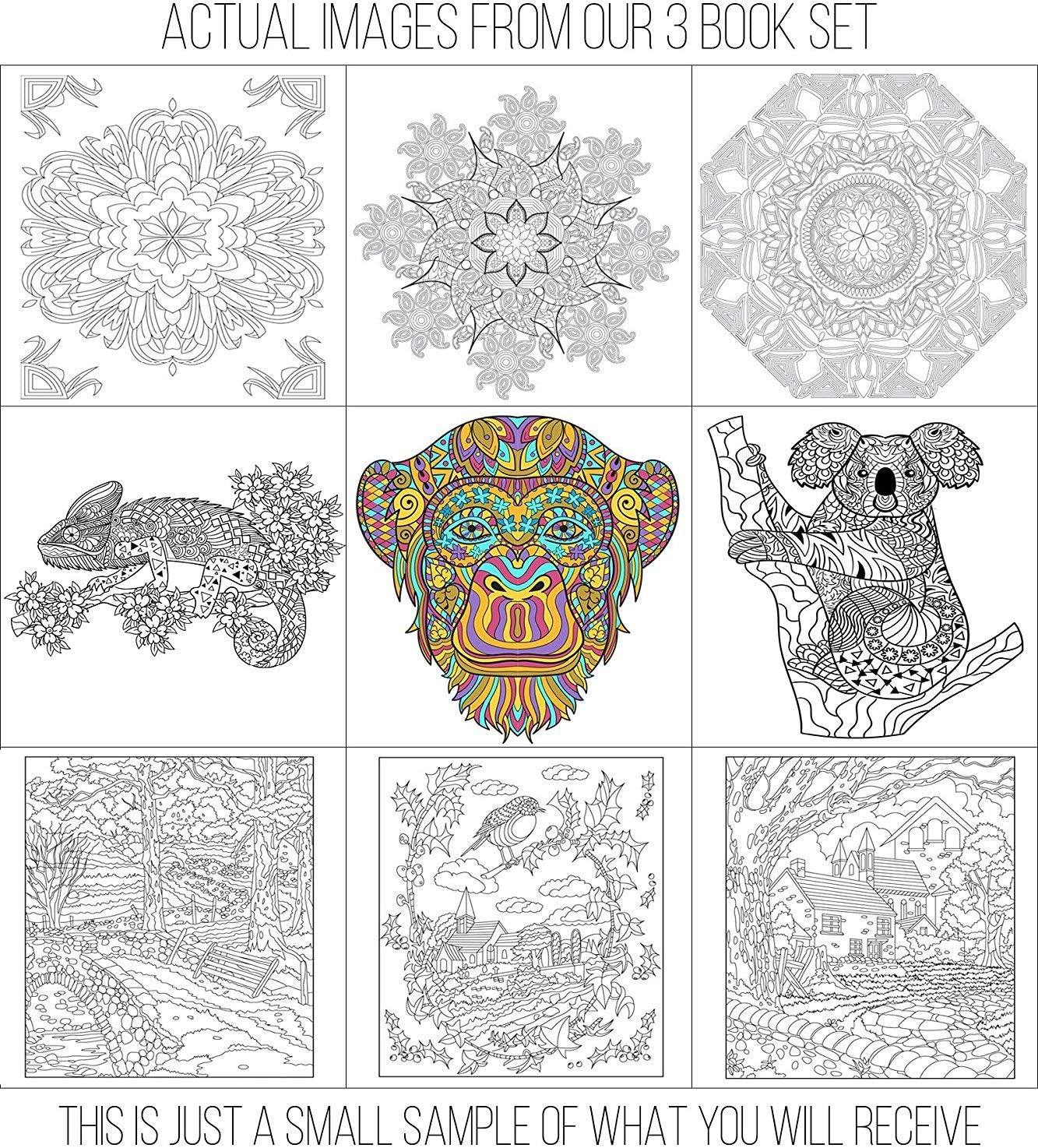 Adult Coloring Books Set - 3 Books for Grownups With 120 Unique Animals, Scenery & Mandalas Designs for Relaxation - Image 5