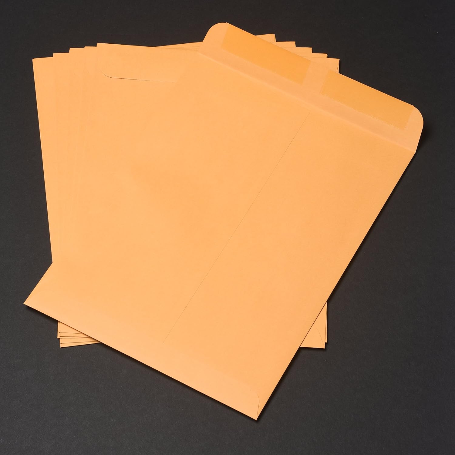 Quality Park 41465 Quality Park Catalog Envelopes, Heavyweight/Gummed, 9x12, 28lb, Kraft, 250/Box (QUA41465) : Office Products
