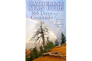 365 Days of Gratitude: Photos from a Beautiful World