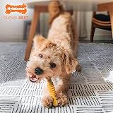 Nylabone Extreme Tough Dog Chew Toy Bone Small Up to 11 kg view 2