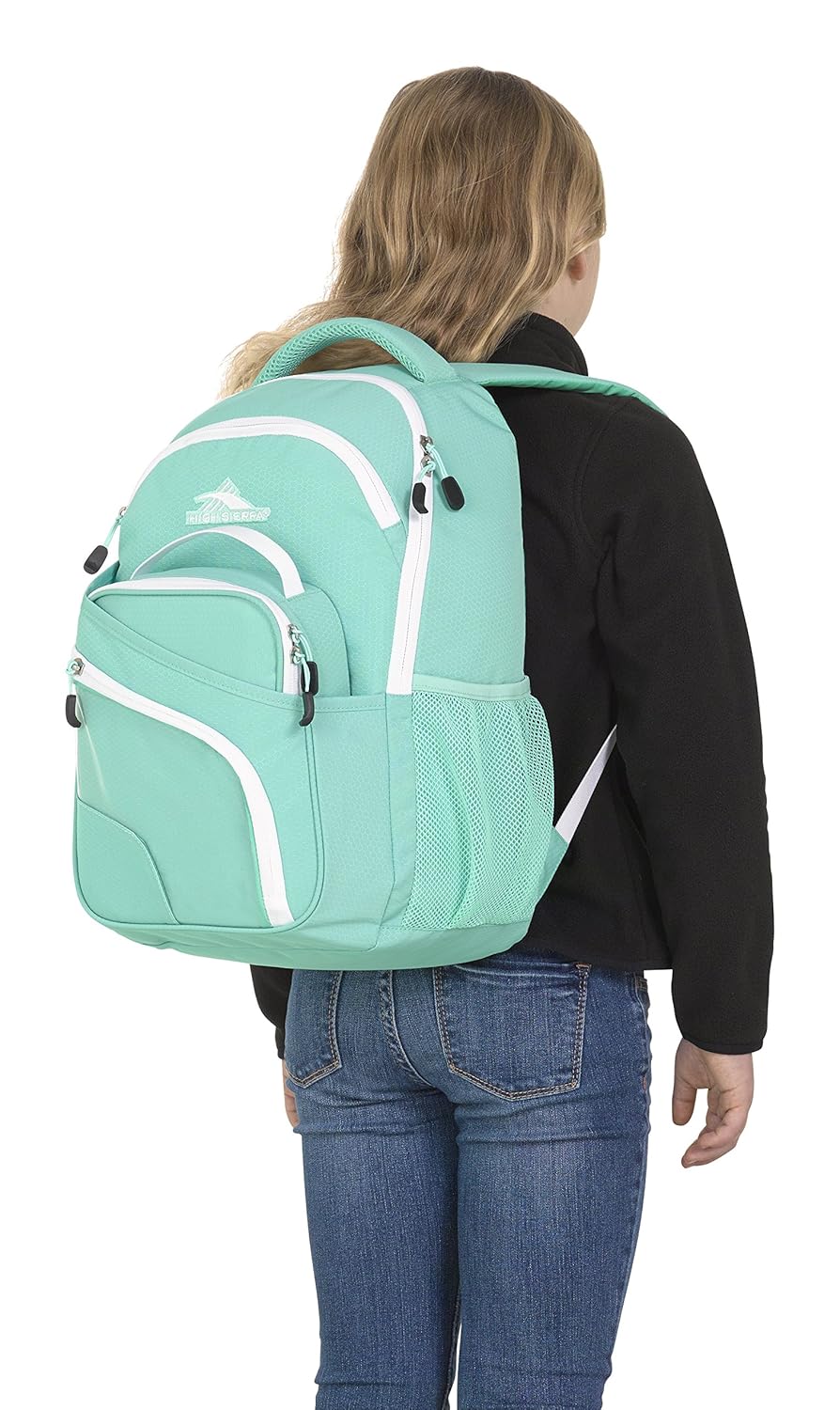 The Steampunk Users Manual: An Illustrated Practical and Whimsical Guide to Creating  Retro-Futurist