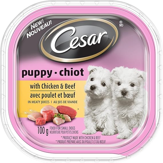 Cesar Puppy Food Trays for Dogs Amazon.ca Pet Supplies