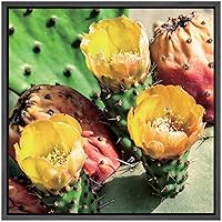 SIGNWIN Framed Canvas Wall Art Eastern Prickly Pear Cactus with Yellow, Orange Flowers Botanical Succulent Photography Realism Modern Closeup Fun for Living Room, Bedroom, Office - 16x16 inches