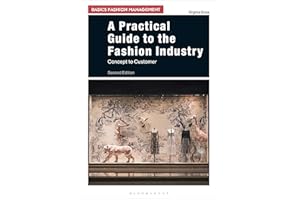 A Practical Guide to the Fashion Industry: Concept to Customer (Basics Fashion Management)