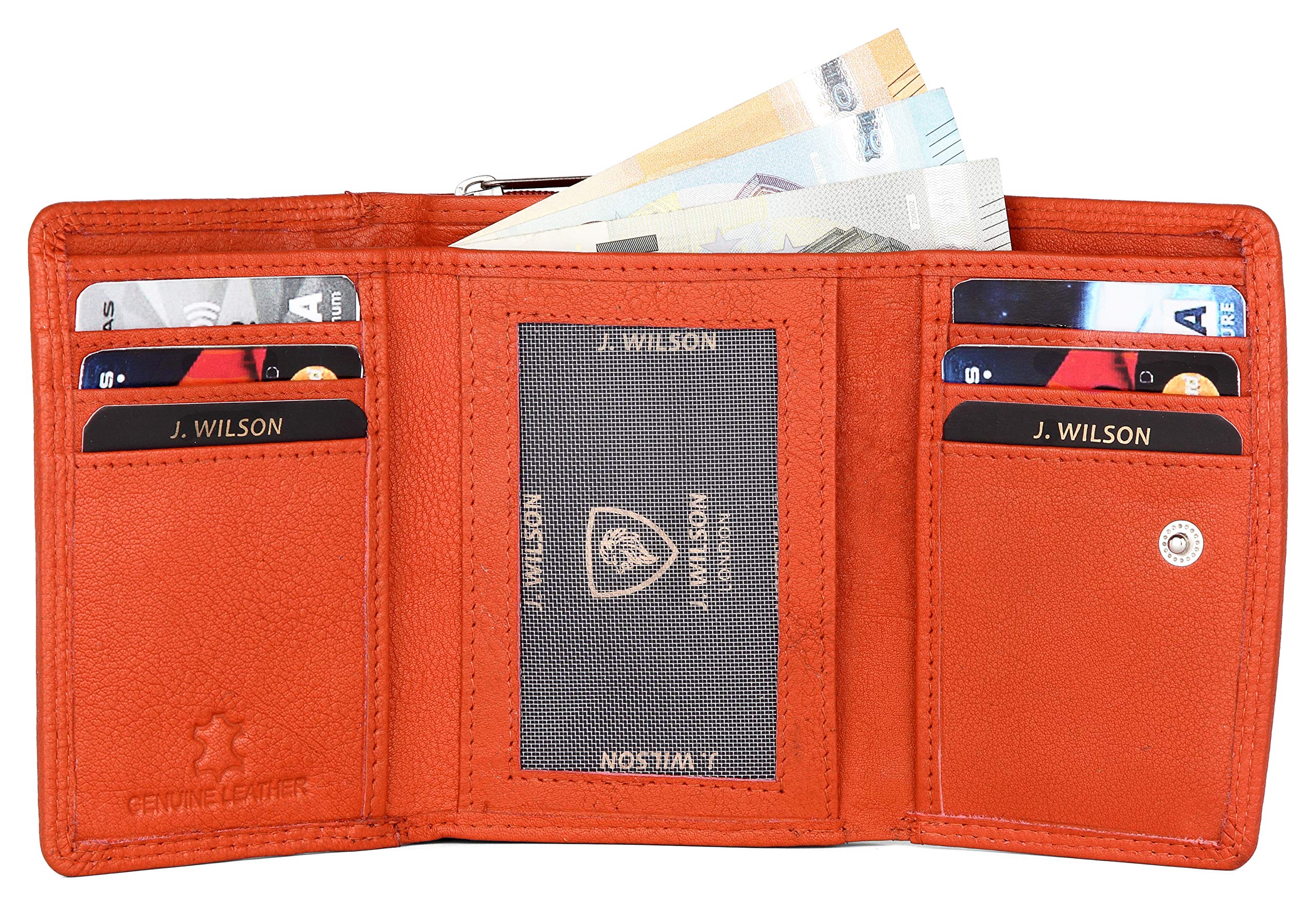 View 5
