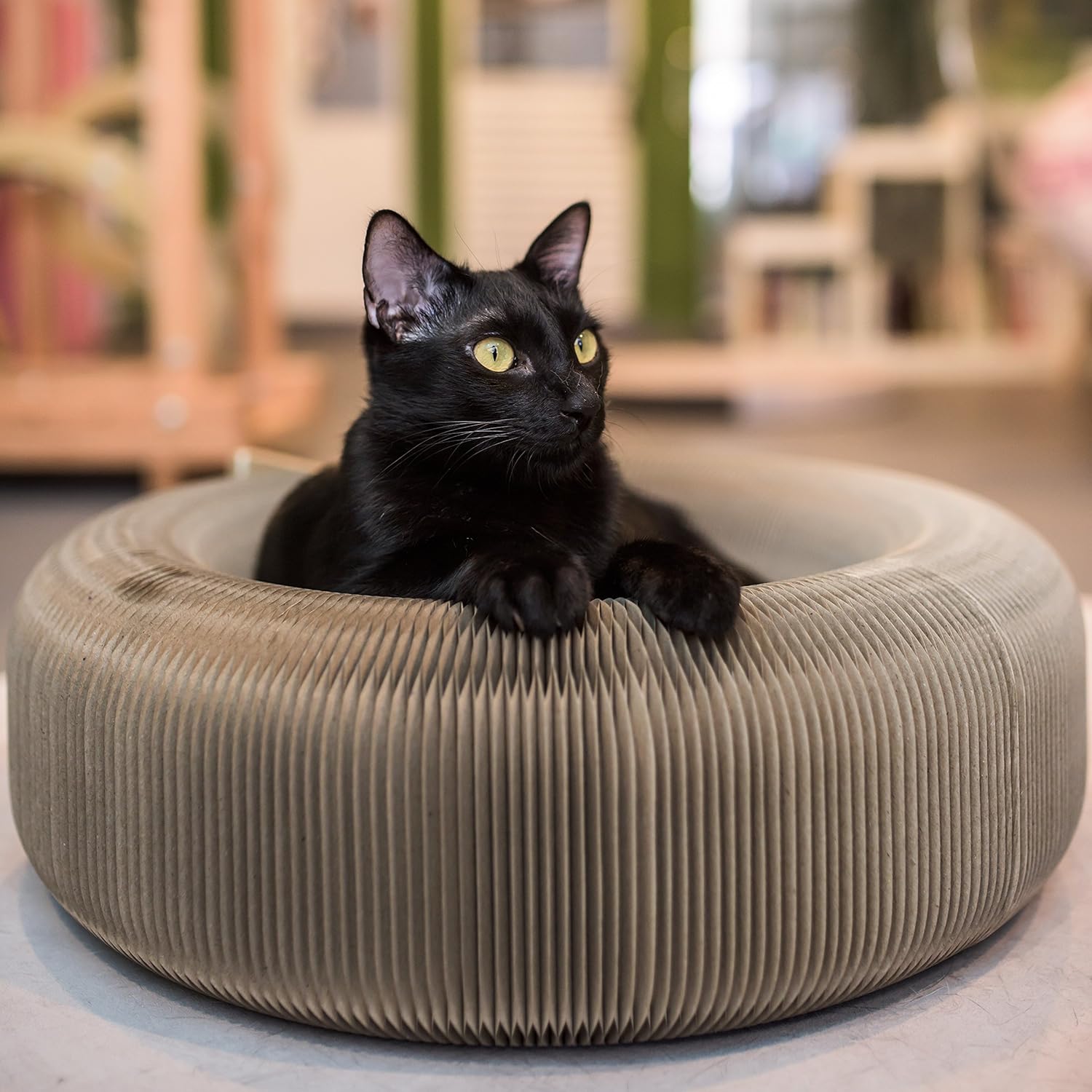 elegant cat bed
