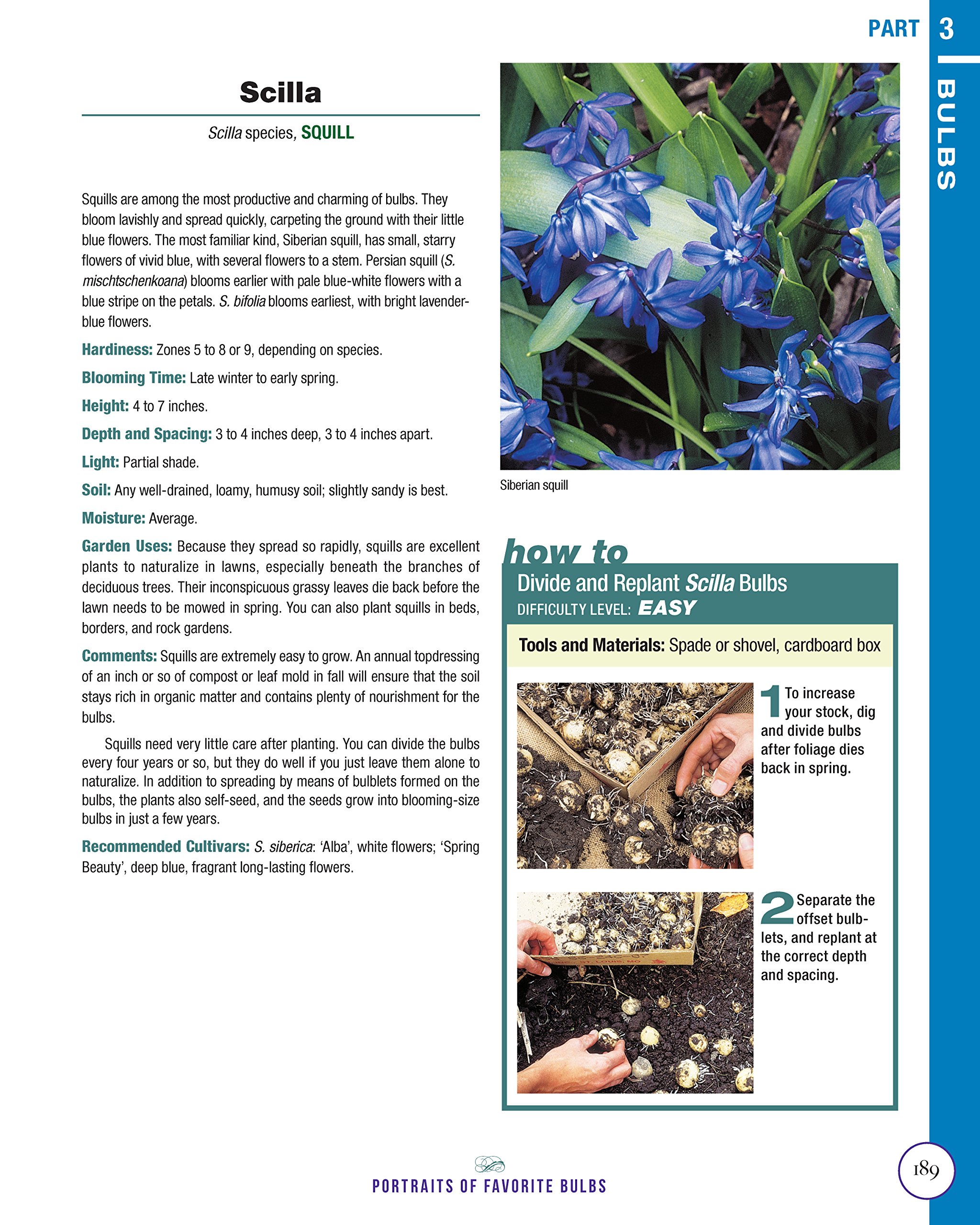 Annuals, Perennials, and Bulbs: 377 Flower Varieties for a Vibrant Garden (Creative Homeowner) 600 Photos and Over 40 Step-by-Step Sequences to Help Design, Improve, & Maintain Your Landscape