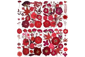 150PCS Red Dried Pressed Flowers with Butterfly Stickers - YouthBro Real Nature Flowers Herb Set for Resin DIY Jewelry Candle Soap Vase Making Nail Card Scrapbook Art Craft Floral Decors