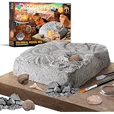 Discovery Colossal Fossil Dig Set, 15-Piece Archeology Excavation Kit, Uncover Real Shark Teeth and More, STEM Toys for Boys and Girls