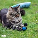 Rosewood Battersea Pounce Balls Cat Toy - Blue, 12cm x 10cm, Catnip view 4