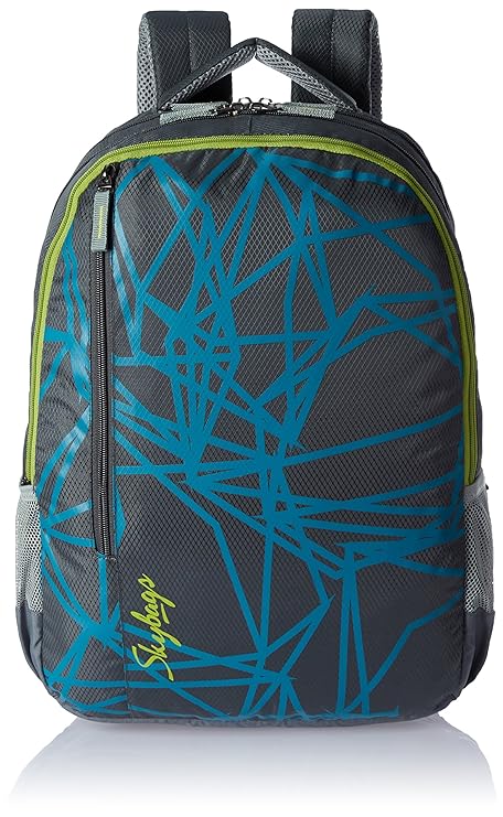 Skybags Footloose Colt 30 Ltrs Grey Casual Backpack (BPFSCOE1GRY)