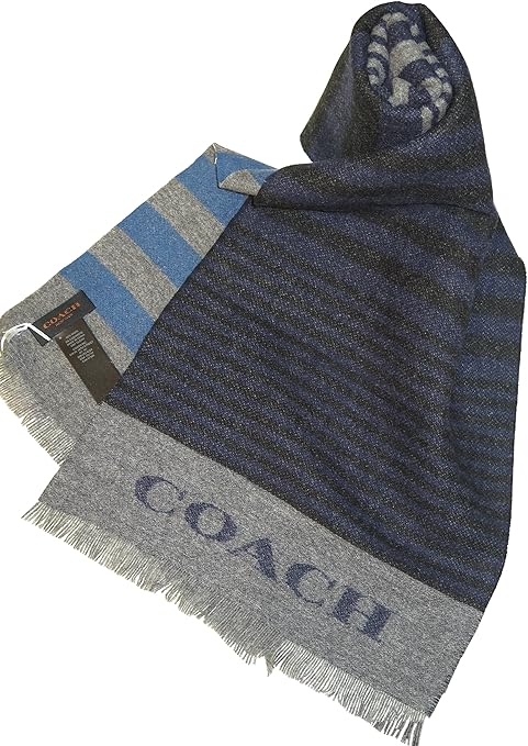 Coach Men's Blue Gray Striped Wool Cashmere Scarf: Amazon.co.uk: Clothing