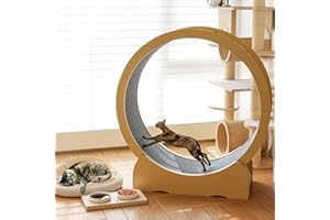 hausway 45" Cat Wheel,Cat Wheels for Indoor Cats,Noise-Free Pet Fitness Toy,Safety Treadmill with Lock Minimized Gap Design,to Reduce Boredom & Anxiety - Easy Assembly (45 inch)
