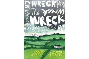 The Wreck: A stunning new illustrated novel from the prize-winning author of Alison