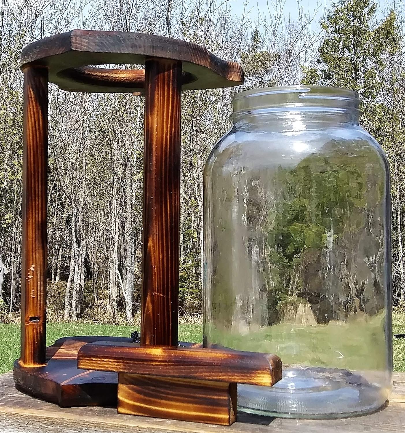 Amazon Com Hanging Acorn Gallon Glass Jar Squirrel Feeder Cedar