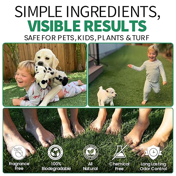 DOZZLEPETS FOAMZYME – 32OZ OUTDOOR PET ODOR ELIMINATOR, SAFE IN PET & FAMILY AREAS, ALL-NATURAL INGREDIENTS, DESIGNED FOR USE WITH POOZOOKA, MADE IN USA
